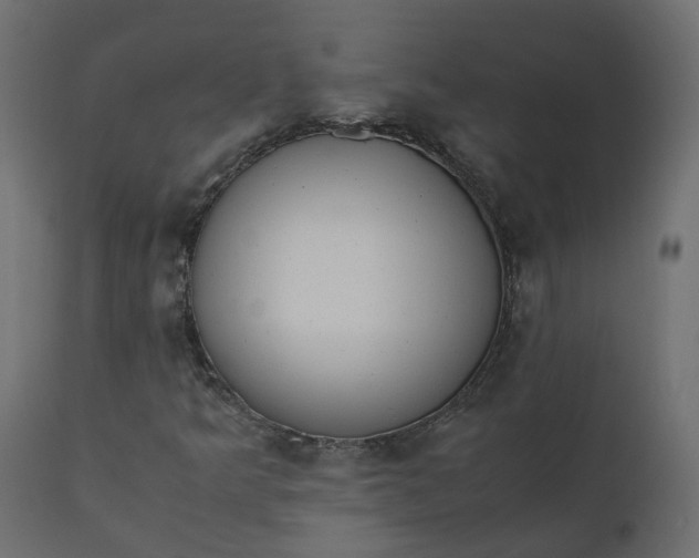 X0000110731349200906261509