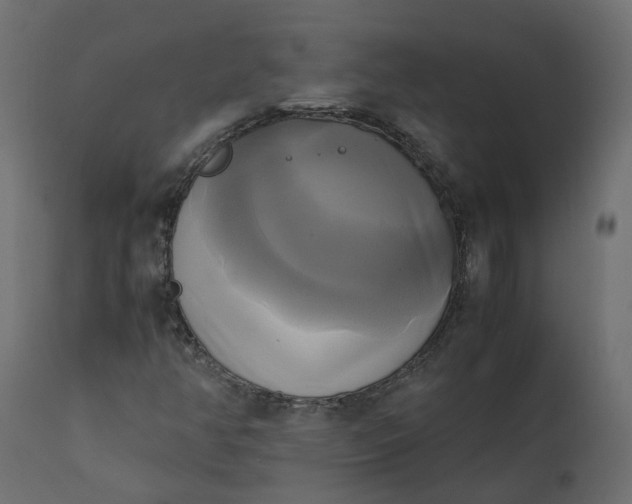 X0000110731350200906261509