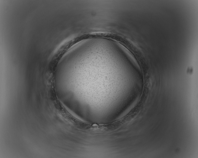 X0000110731351200906261509