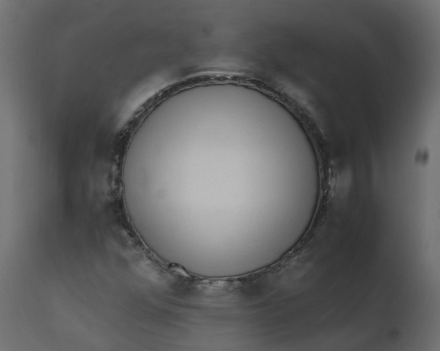 X0000110731352200906261509