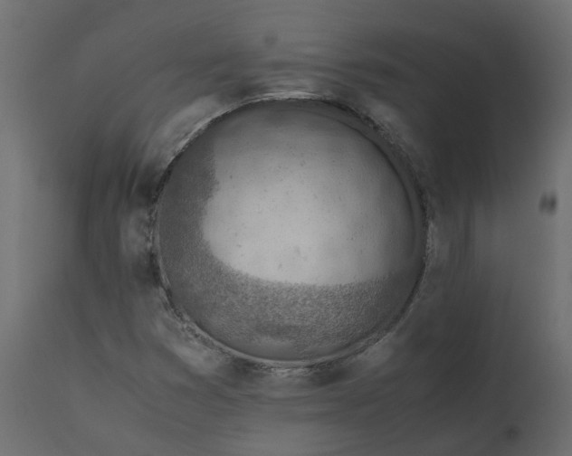 X0000110731353200906261509