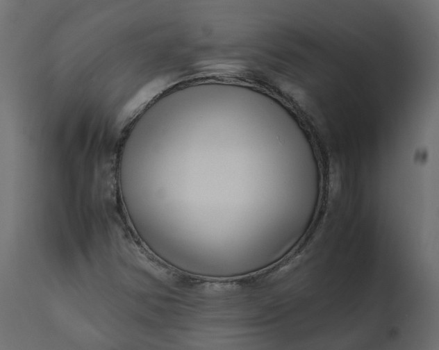 X0000110731354200906261509