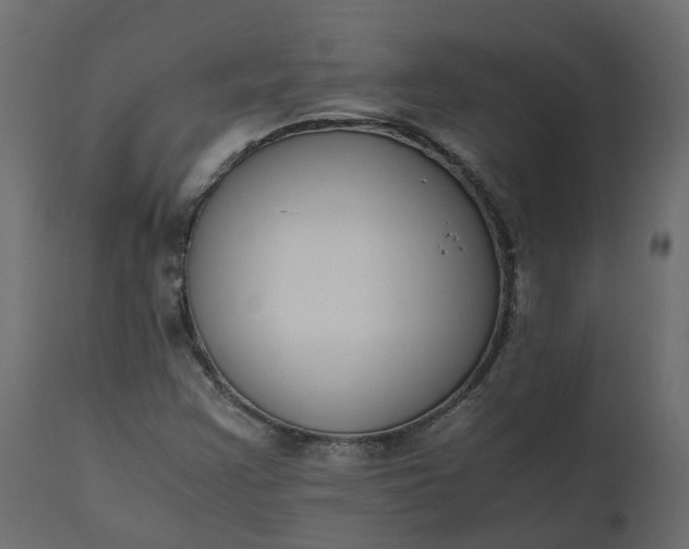 X0000110731355200906261509