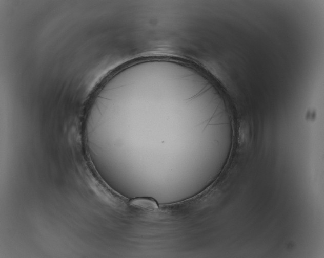 X0000110731356200906261509