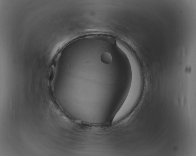 X0000110731357200906261509