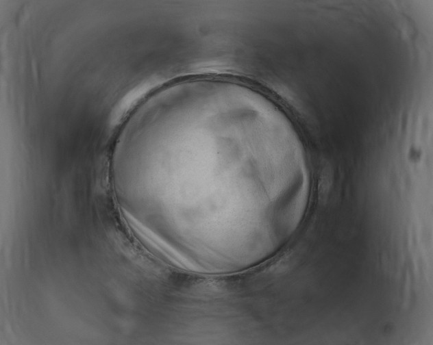 X0000110731358200906261509