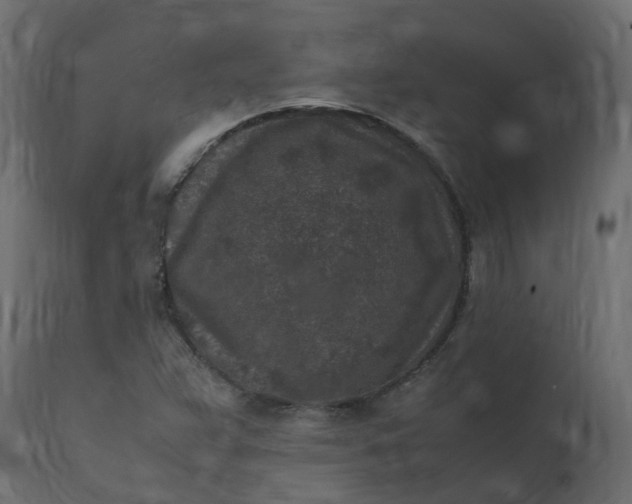 X0000110731359200906261509