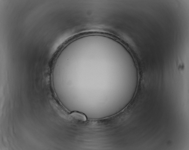 X0000110731360200906261509