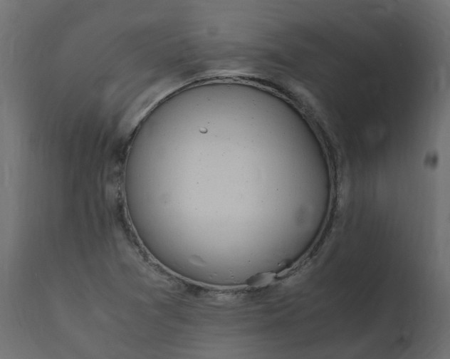 X0000110731361200906261509