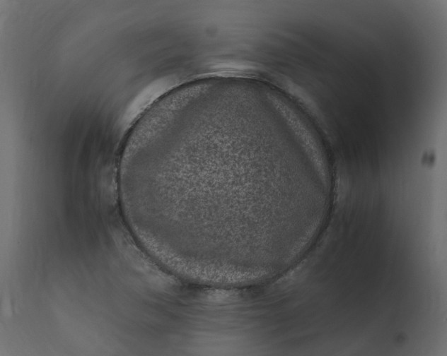 X0000110731362200906261509