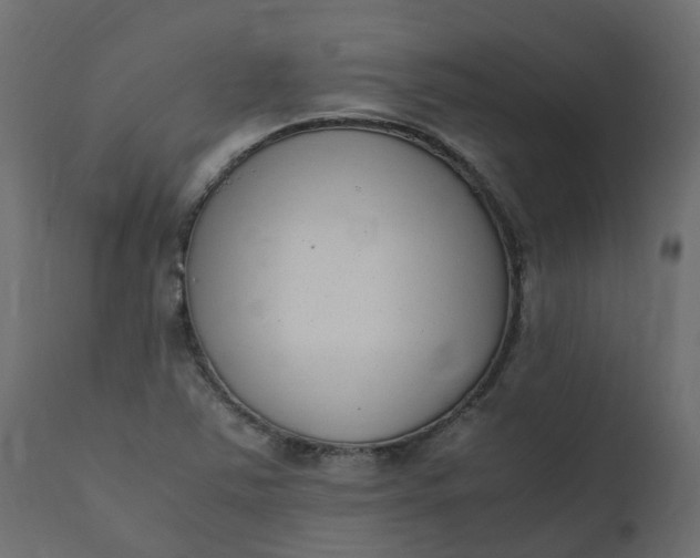 X0000110731363200906261509