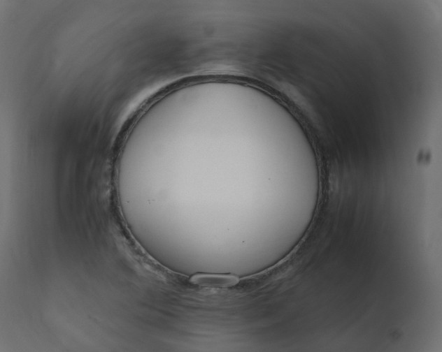 X0000110731364200906261509