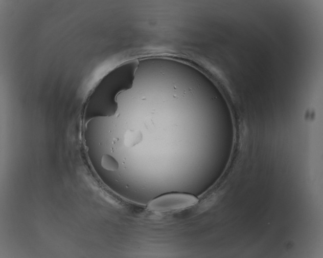 X0000110731365200906261509