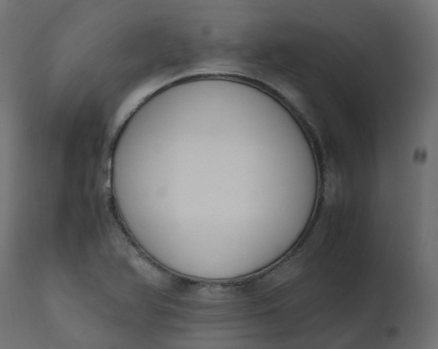 X0000110731366200906261509