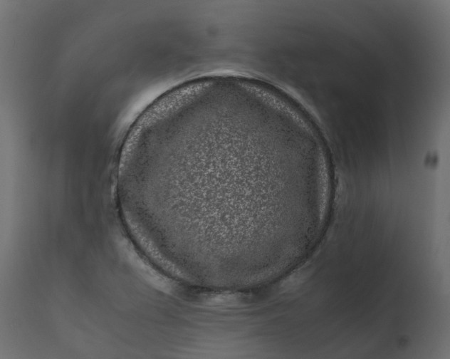 X0000110731367200906261509