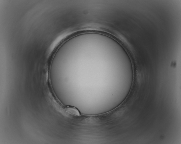 X0000110731368200906261509