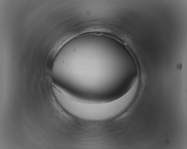 X0000110731369200906261509