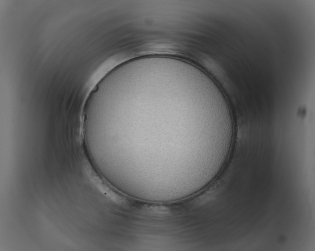 X0000110731370200906261509