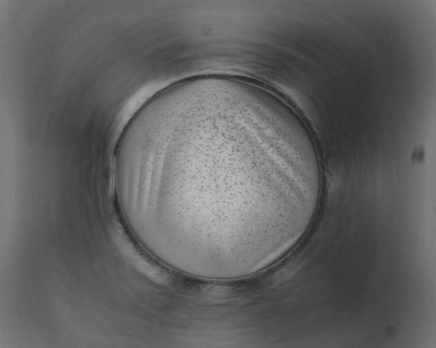 X0000110731371200906261509