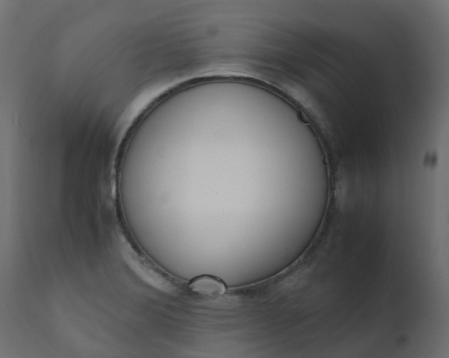 X0000110731372200906261509