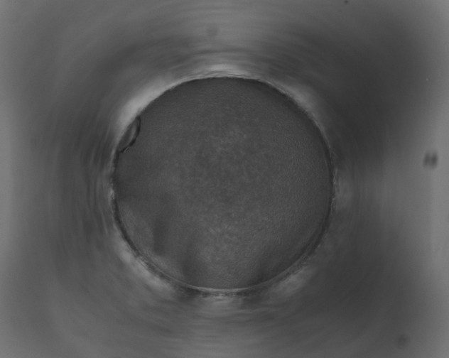 X0000110731373200906261509