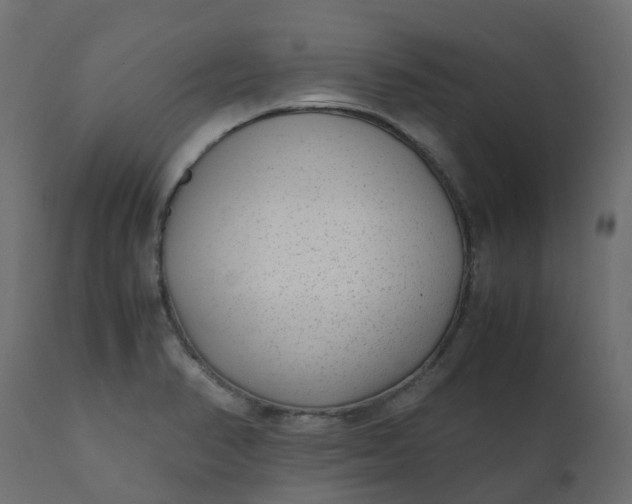 X0000110731374200906261509