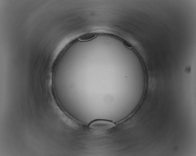 X0000110731376200906261509