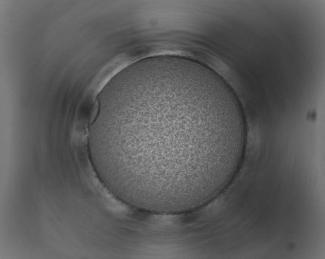 X0000110731377200906261509