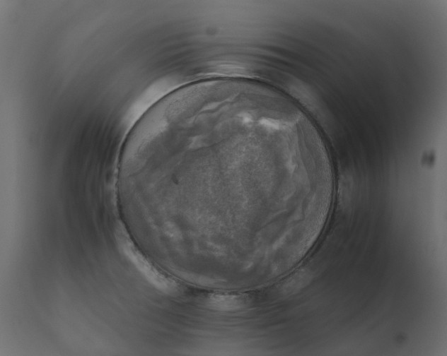 X0000110731378200906261509