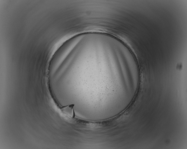 X0000110731379200906261509