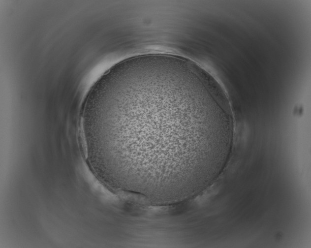 X0000110731381200906261508