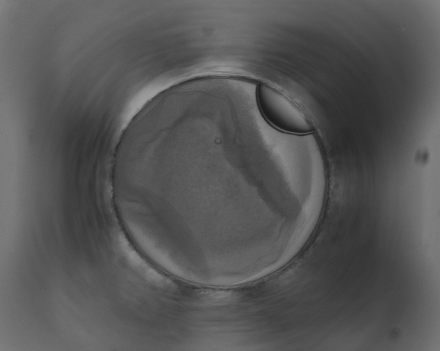 X0000110731382200906261508