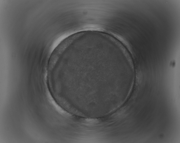 X0000110731383200906261508