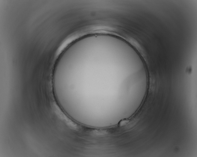 X0000110731384200906261508