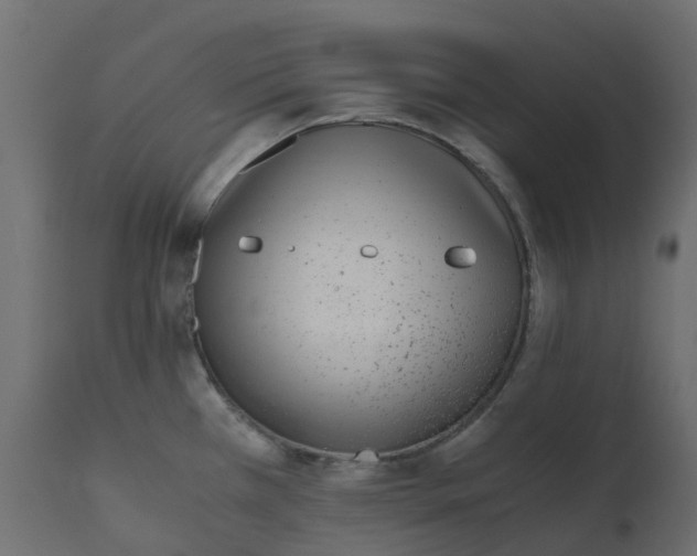 X0000110731385200906261508