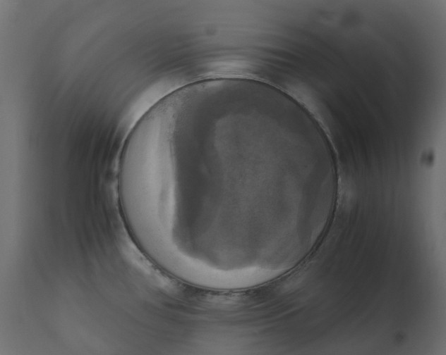 X0000110731386200906261508