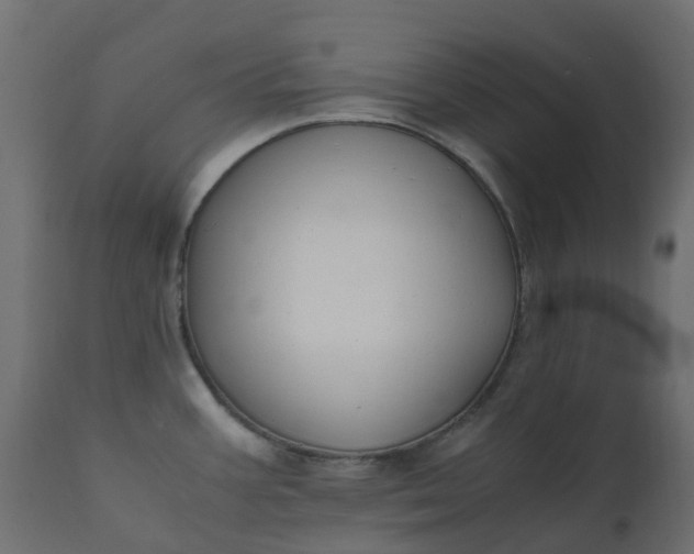 X0000110731387200906261508