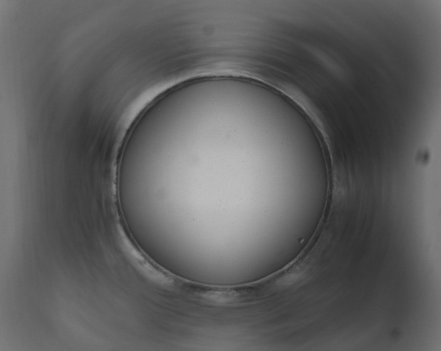 X0000110731388200906261508