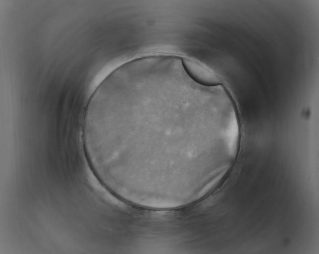 X0000110731390200906261508