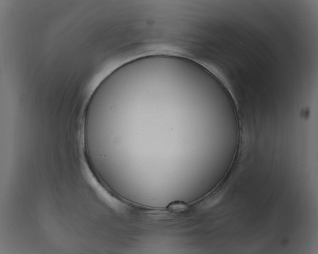 X0000110731391200906261508