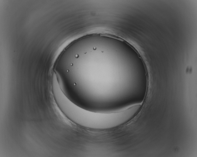 X0000110731392200906261508