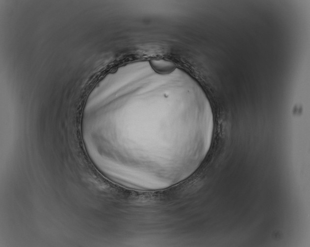 X0000110731393200906261507