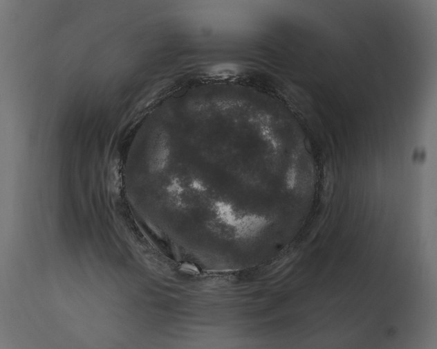 X0000110731394200906261508