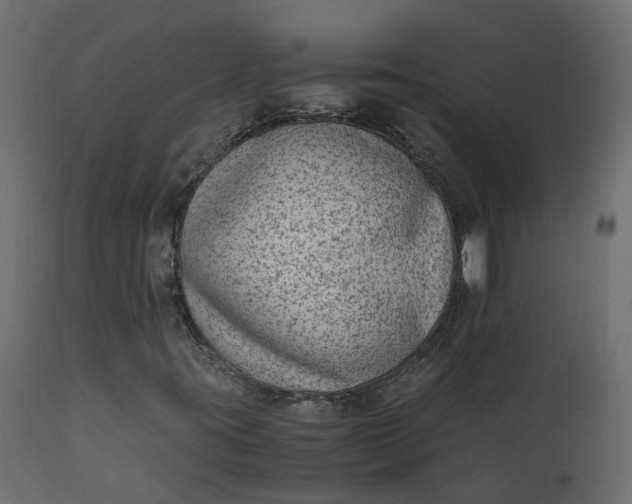 X0000110731395200906261508