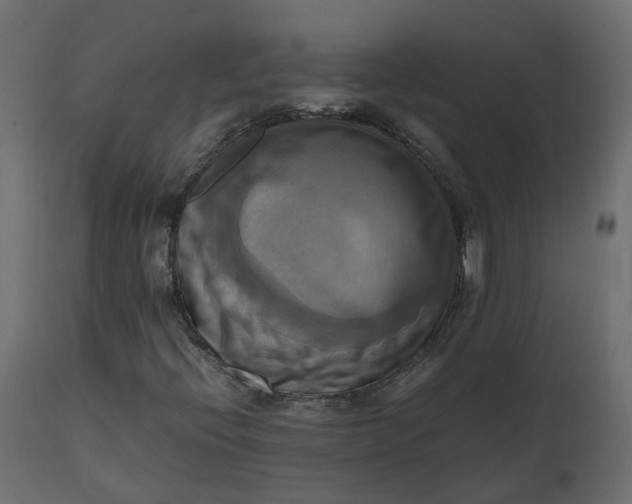 X0000110731396200906261508