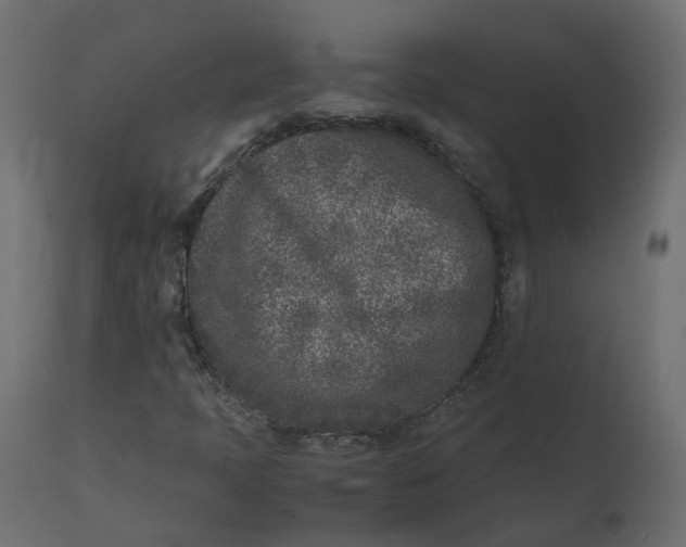 X0000110731397200906261508