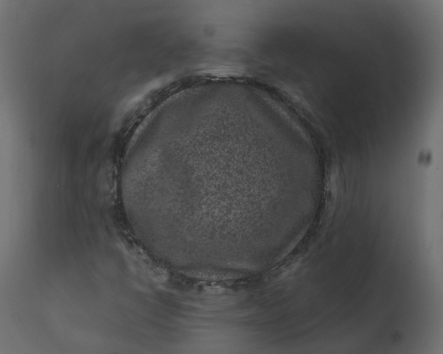 X0000110731398200906261508