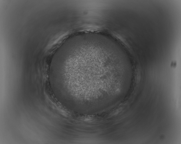 X0000110731399200906261508