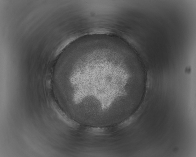 X0000110731401200906261508