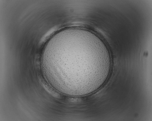 X0000110731403200906261508